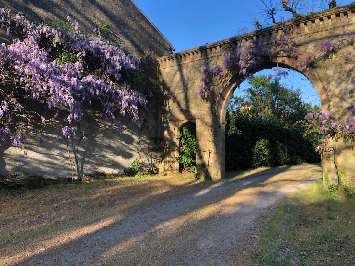 Château De La Mothe Couette-café *
