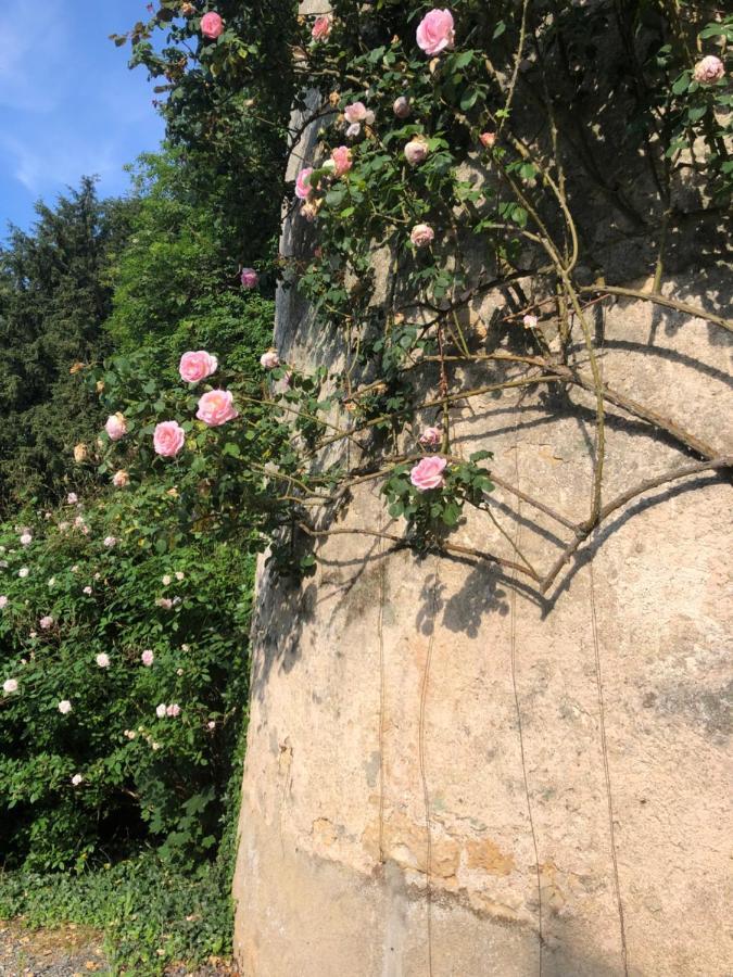 Couette-café Château De La Mothe Saint-Sulpice-en-Pareds